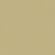 Metallic Beige