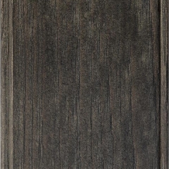 Obsidian