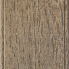 Porcini