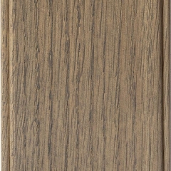 Porcini